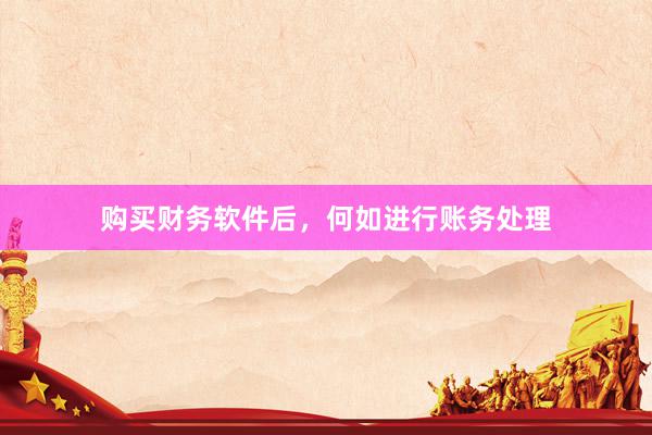 购买财务软件后，何如进行账务处理