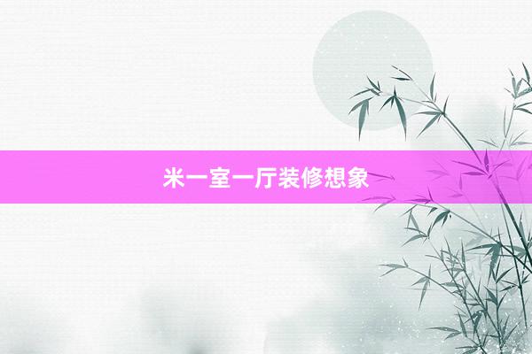 米一室一厅装修想象